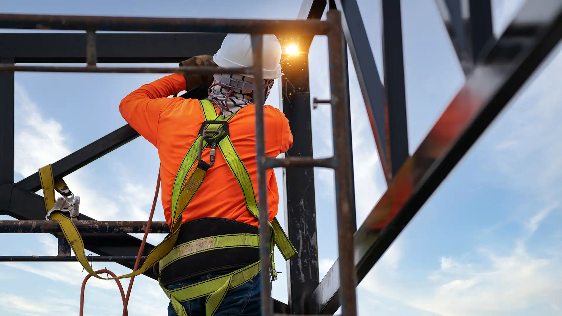 Easy Use with Professional Safety Harness